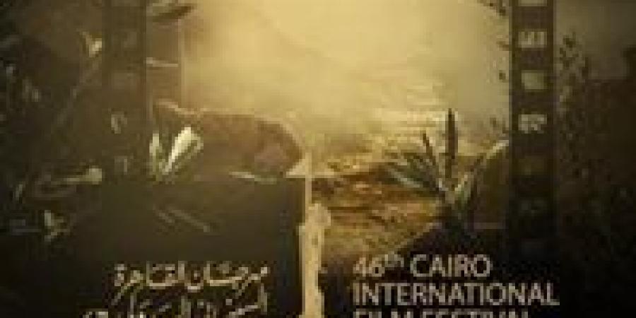 من قلب الحدث.. قناة DMC تنفرد بالتغطية الحصرية لمهرجان القاهرة السينمائي الدولي