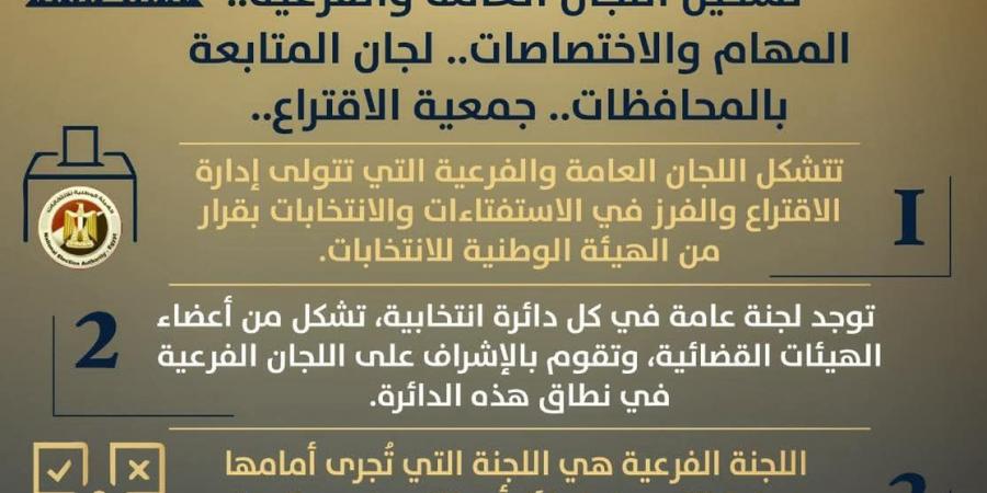 كل ما تريد معرفته عن اللجان الانتخابية.. التشكيل والمهام والإشراف القضائي