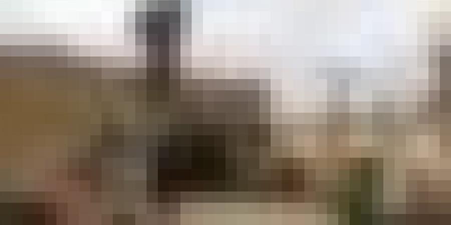 تصاعد أزمة الاختطافات في مالي: اختطاف ثلاثة مصريين حديثًا وفدية إماراتية سابقة لتنظيم متشدد