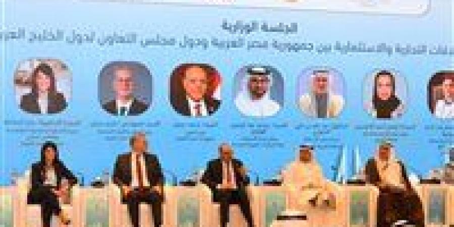 وزير العمل يستعرض ملامح قانون العمل الجديد أمام منتدى الاستثمار المصري الخليجي