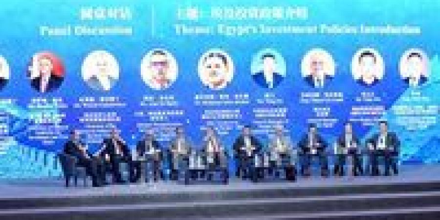 الهيئة العامة للاستثمار: أكثر من ألفي شركة صينية تعمل بمصر باستثمارات تجاوزت الثماني مليارات دولار
