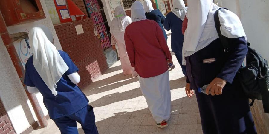 انتخابات مجلس النواب 2025.. "التنسيقية": استمرار اقبال الناخبين بلجان مطروح فى اليوم الأول