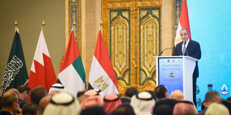 وزير الخارجية: العلاقات المصرية الخليجية تشهد طفرة تاريخية برعاية الرئيس السيسي