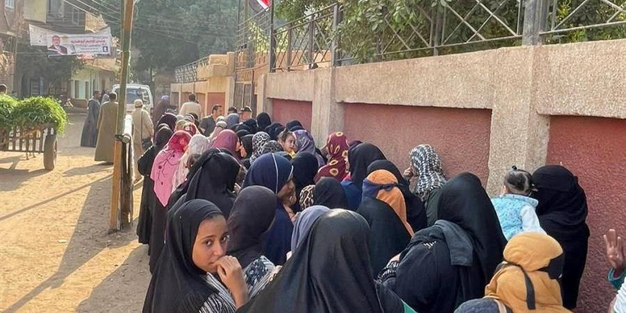 السيدات تتصدر المشهد في لجان قرية الشيخ مكرم بسوهاج منذ الصباح الباكر