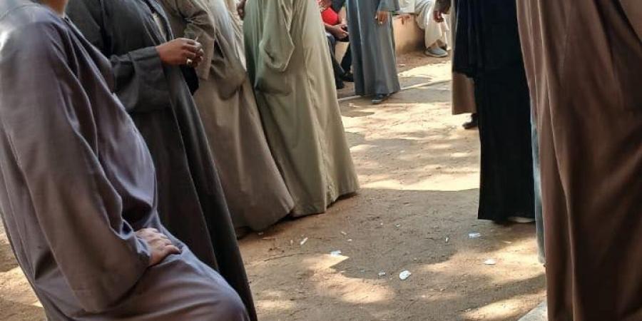 استمرار توافد الناخبين على اللجان في المنيا للتصويت في انتخابات مجلس النواب