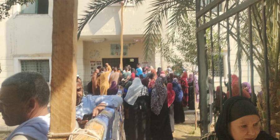 التنسيقية: إقبال كثيف للناخبين على لجان الاقتراع في المنيا
