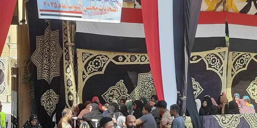 التنسيقية: استمرار إقبال الناخبين على لجان الاقتراع في أسوان