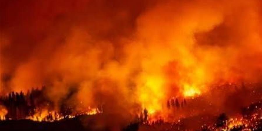 حرائق لبنان تتمدد: خسائر بيئية خطيرة وتحذيرات من تصحّر وارتفاع الحرارة