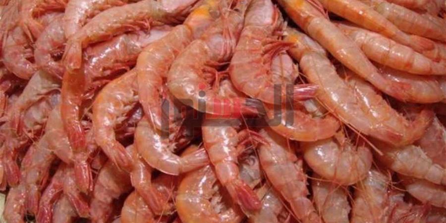 أسعار الجمبري والمأكولات البحرية في الغربية اليوم الثلاثاء 11 نوفمبر 2025