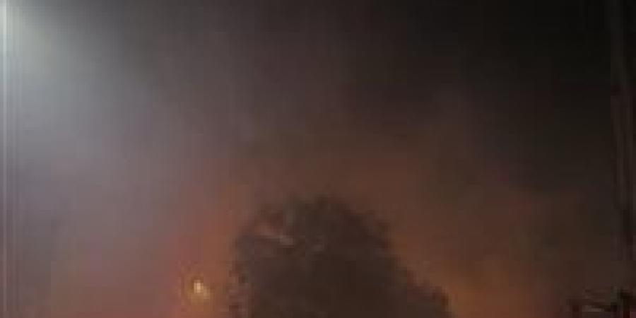 النيران محاوطة المكان.. تفاصيل حريق هائل بحديقة المتحف الزراعي في الدقي