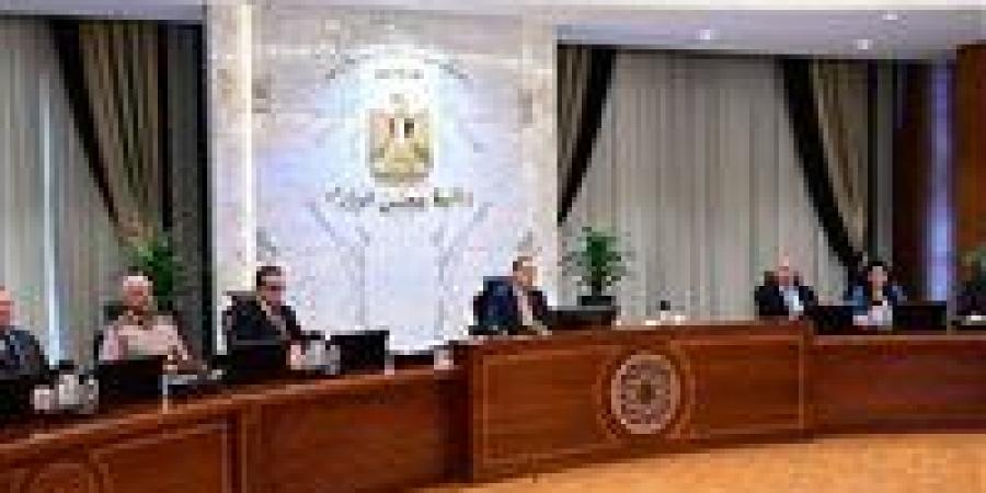 رئيس الوزراء: الحكومة تنسق مع كافة الجهات لتنظيم انتخابات مجلس النواب 2025