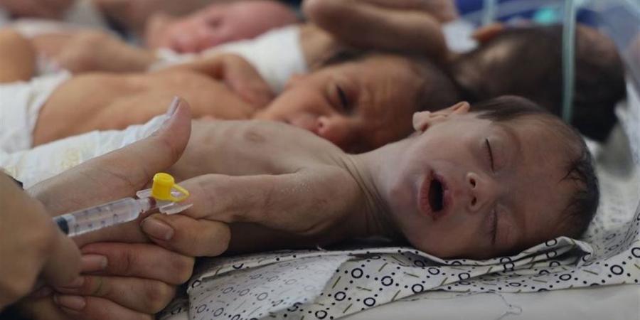 من بينها حليب الأطفال.. "يونيسف": إسرائيل تمنع دخول مواد أساسية إلى غزة