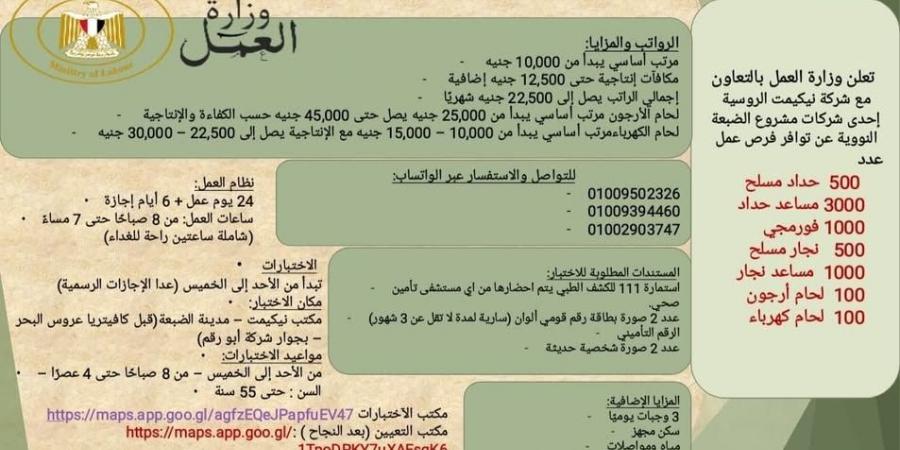 6200 فرصة عمل بمشروع الضبعة برواتب تصل لـ45 ألف جنيه.. قدم الآن
