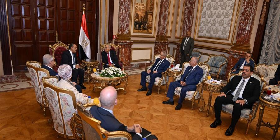 رئيس مجلس الشيوخ يستقبل وزير الخارجية «صور»