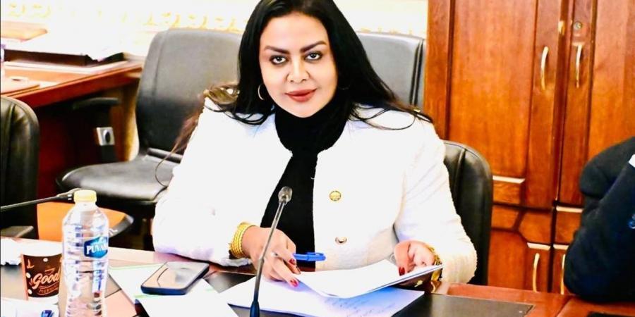 نيفين حمدي عن قانون الإجراءات القانونية: نقلة نوعية