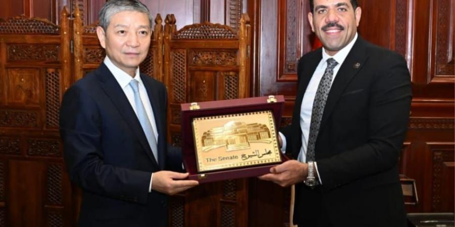أمين عام مجلس الشيوخ يستقبل السفير الصيني لبحث تعزيز التعاون البرلماني بين مصر وبكين