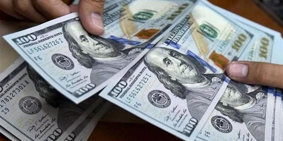 سعر الدولار في بداية التعاملات اليوم الخميس 13 نوفمبر 2025