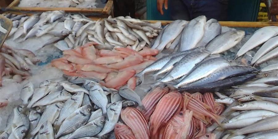 أسعار الأسماك بسوق الغردقة اليوم السبت 15 نوفمبر 2025