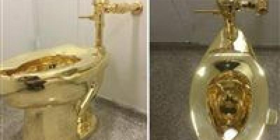مرحاض أمريكي ذهبي في المزاد والسعر مفاجأة