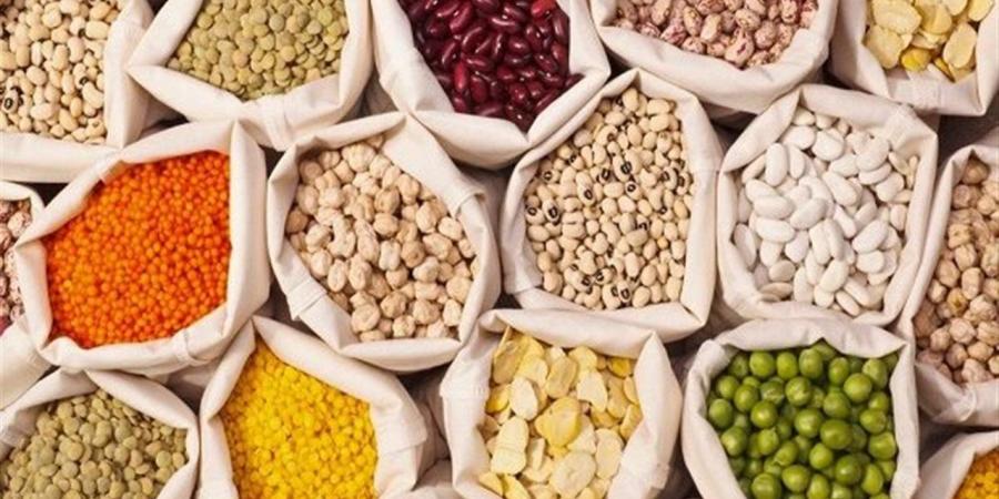 أسعار البقوليات بأسواق البحر الأحمر اليوم السبت 15 نوفمبر 2025