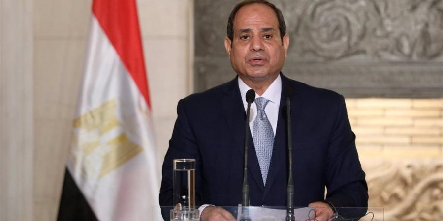 الرئيس السيسى يشدد على ضرورة توفير المزيد من الحوافز والتيسيرات للمستثمرين في قطاعات البترول