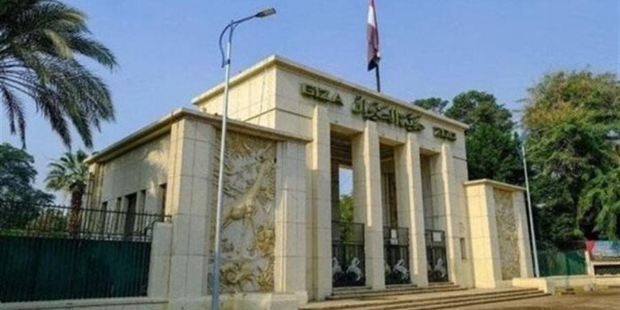 بعد أعمال التطوير الكبرى.. متى تعود حديقة الحيوان بالجيزة لاستقبال الجمهور؟