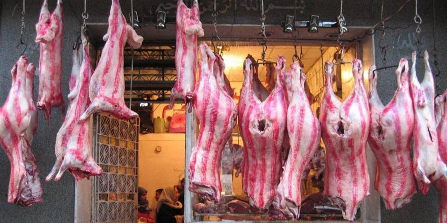 أسعار اللحوم البلدية في الغربية اليوم الأحد 16 نوفمبر 2025