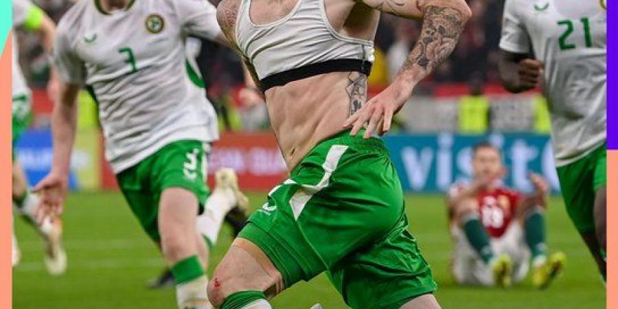 هدف قاتل في +90 يمنح أيرلندا بطاقة الملحق وينهي حلم المجر