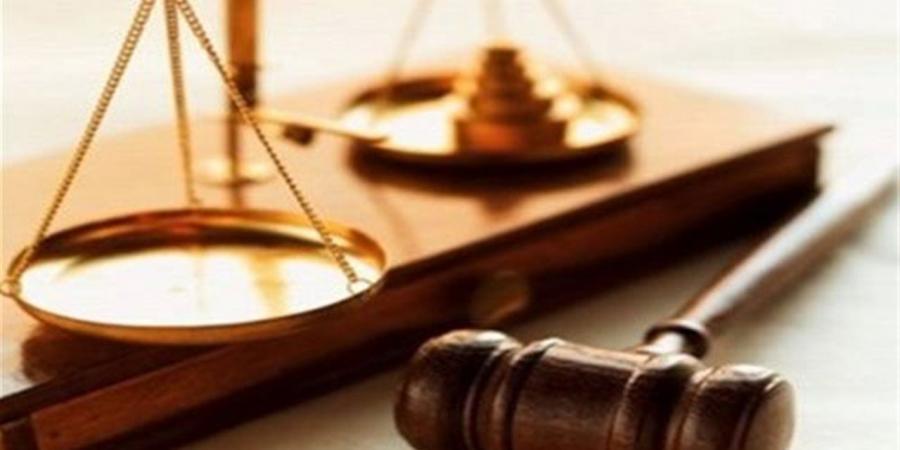 جنايات المنصورة تحيل أوراق المتهم بقتل طفلة الستاموني للمفتي.. والنطق بالحكم 19 يناير