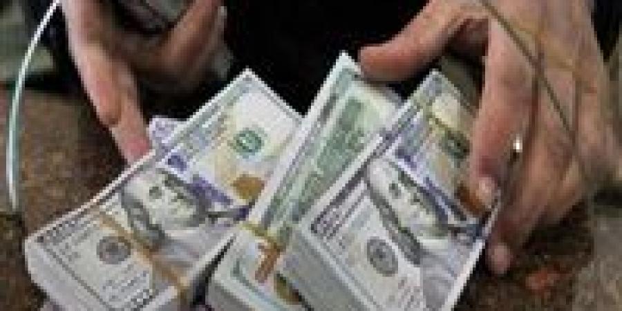 قفزة قياسية في تحويلات المصريين بالخارج.. هل تساهم في تراجع سعر الدولار؟