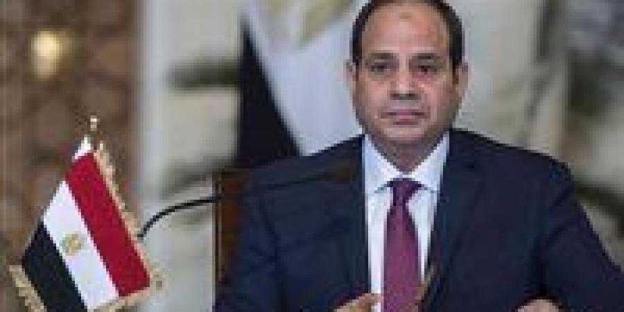 الرئيس السيسي: لا تهاون في ضمان نزاهة الانتخابات وحماية إرادة الشعب
