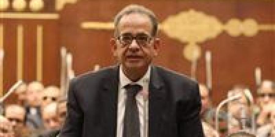 وكيل «تشريعية الشيوخ»: الرئيس وجّه رسالة حاسمة لإعادة الانضباط وضمان حماية صوت الناخب