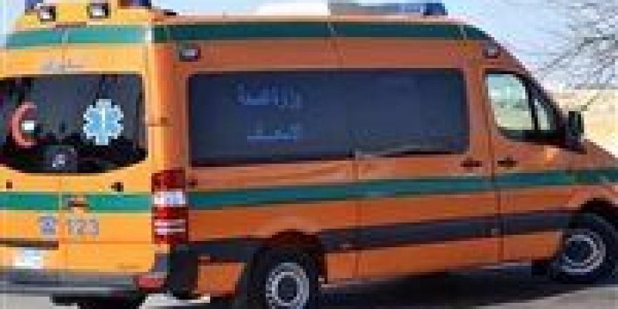 شاب يُقتل طعنًا في السابعة بحوش عيسى.. وغموض يلفّ تفاصيل اللحظات الأخيرة