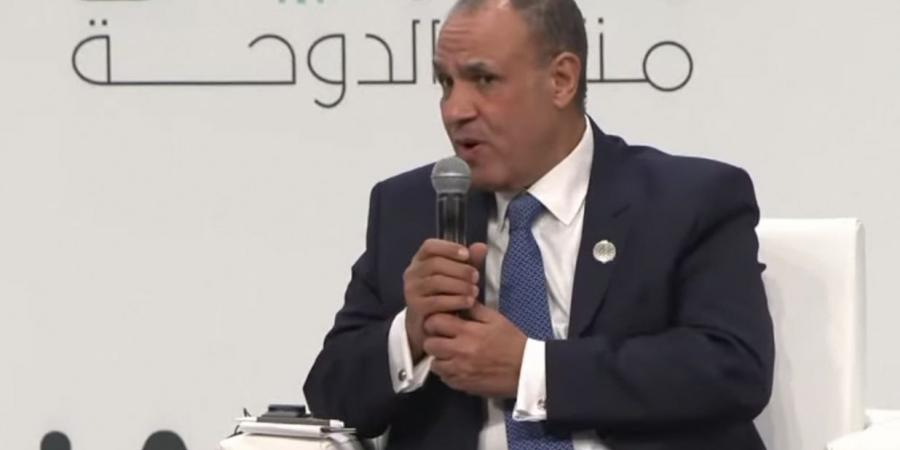 وزير الخارجية: مصر لن تحكم غزة ولن تكون هناك أي دولة أجنبية تحكم القطاع
