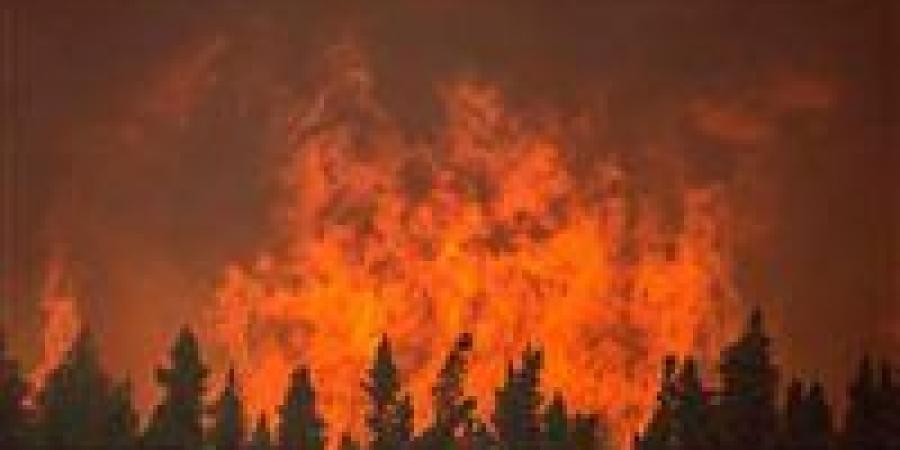 حرائق الغابات تلتهم مساحات ضخمة في نيو ساوث ويلز وسط تحذيرات متصاعدة