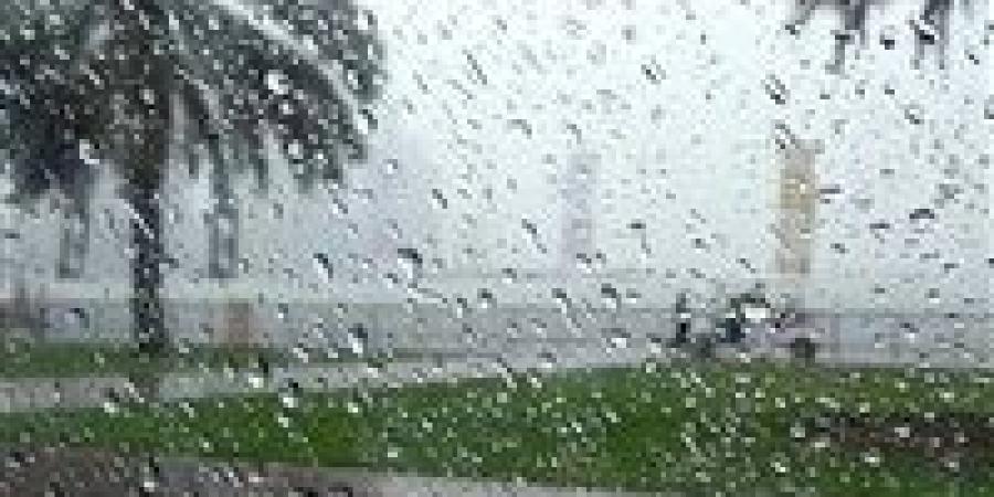 انخفاض كبير في درجات الحرارة وأمطار وشبورة في القاهرة والمحافظات