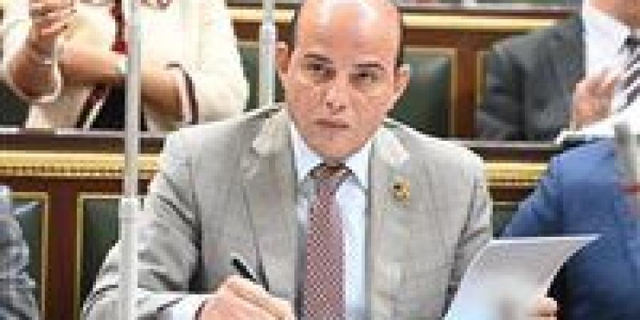 بعد إعلان اعتذاره.. عمرو القطامي يتراجع: مستمر في الانتخابات بعد رفض "الوطنية" قبول الاعتذار