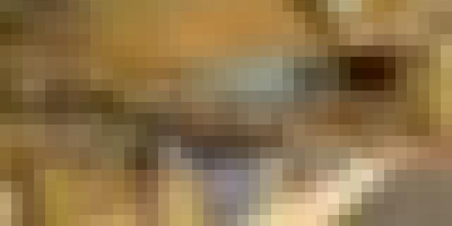 الجزائر نائب رئيس اللجنة الدائمة لحقوق المؤلف بالمنظمة العالمية للملكية الفكرية