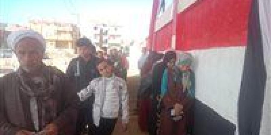 إقبال ملحوظ لكبار السن على لجان انتخابات مجلس النواب بالدائرة الثالثة بالفيوم