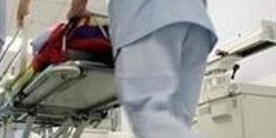 العجوة مسممه.. مصرع طفلة وإصابة والدتها وشقيقها بتسمم في حدائق أكتوبر