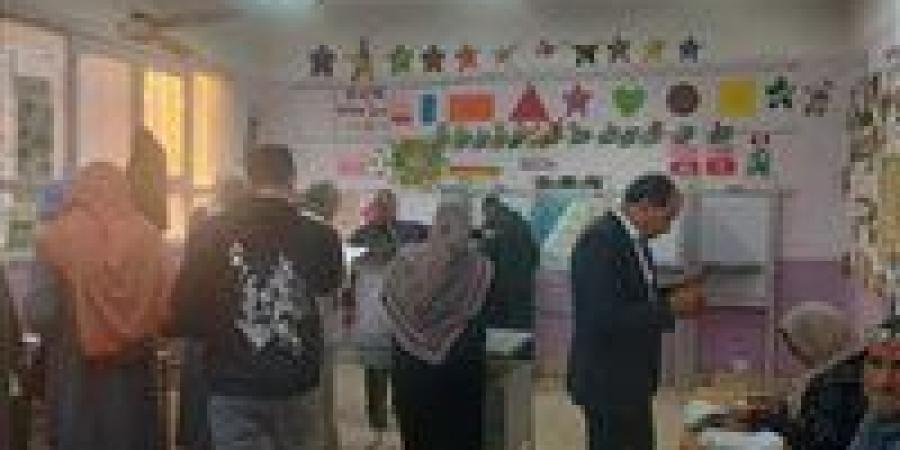 انتخابات مجلس النواب.. إقبال كثيف في لجنة صفط الخمار بمحافظة المنيا