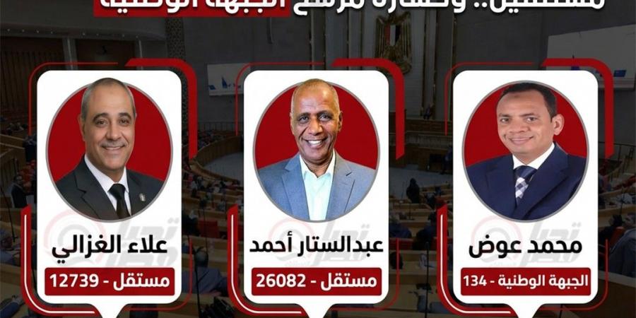 وفقا للحصر العددي.. إعادة مرتقبة بين 2 مرشحين مستقلين بـ القرنة - الأقصر.. وخسارة مرشح الجبهة الوطنية