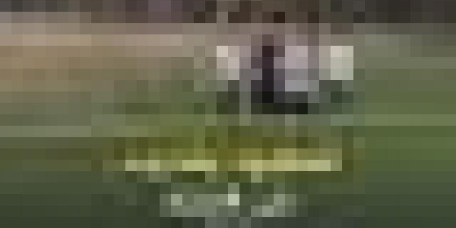 ????أمير سعيود يتدرّب على الانفرادات، أملاً في اللحاق بمباراة ربع نهائي كأس العرب أمام الإمارات.. #شاهد