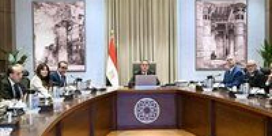 رئيس الوزراء يلتقي مسئولي شركة "إيني" ومجموعة مستشفيات "سان دوناتو" الإيطالية