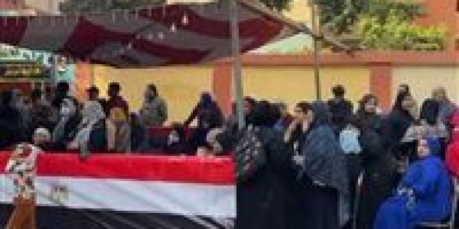 انتخابات مجلس النواب.. انتهاء اليوم الأول لتصويت المصريين في جولة الإعادة من المرحلة الثانية