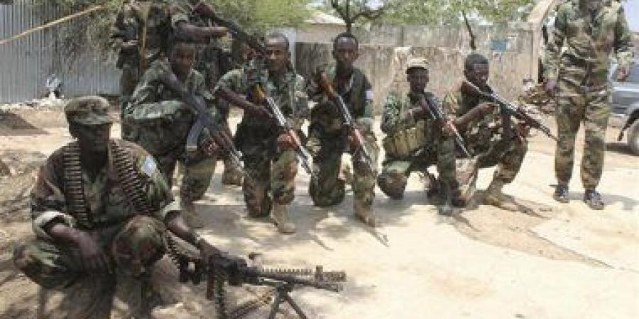 الصومال وجيبوتي يبحثان تعزيز التعاون الأمني والدفاعي