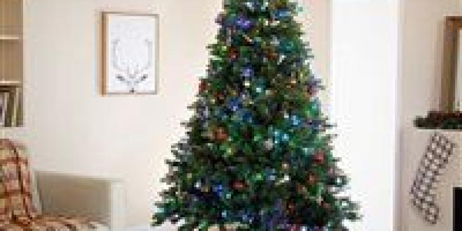 بسبب
      شجرة
      الكريسماس..
      مشادة
      حادة
      بين
      زوجين
      في
      مول
      قبل
      رأس
      السنة