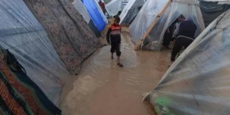 إعلام فلسطيني: ارتفاع عدد ضحايا قصف الاحتلال لحي التفاح في مدينة غزة إلى 5 شهداء