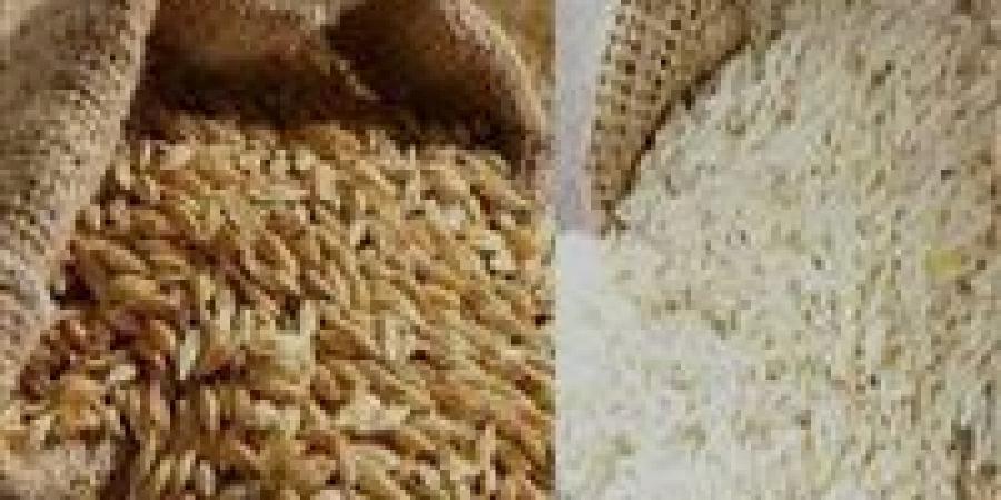 سعر
      الأرز
      الشعير
      اليوم
      ..كم
      سعر
      طن
      الأرز
      الشعير
      الآن
      2025
      ؟(تحديث)