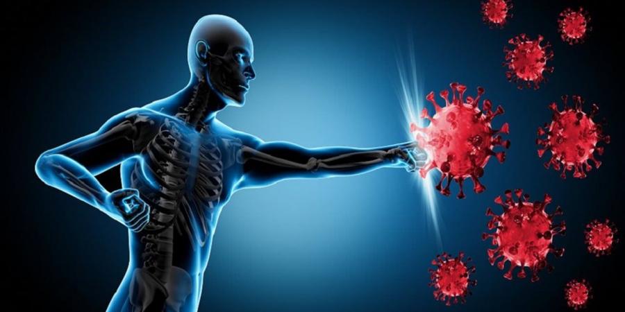 أفضل
      10
      أطعمة
      صحية
      تعزز
      المناعة
      وتحمي
      الجسم
      من
      الأمراض
      في
      الشتاء